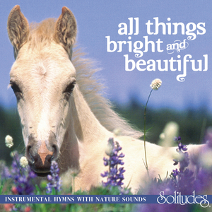 国产福利片在线观看
